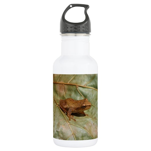 Tiny Toad 532 Ml Water Bottle (Front)