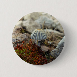 Tiny Toadstool 2 Inch Round Button