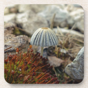 Tiny Toadstool Coaster