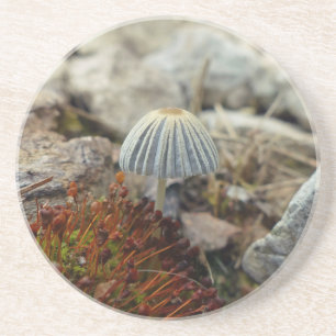 Tiny Toadstool Coaster
