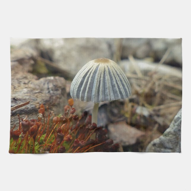 Tiny Toadstool Kitchen Towel (Horizontal)
