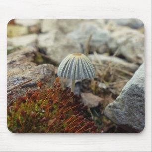 Tiny Toadstool Mouse Pad