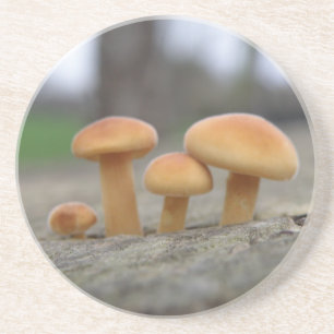 Tiny Toadstools Macro Coasters