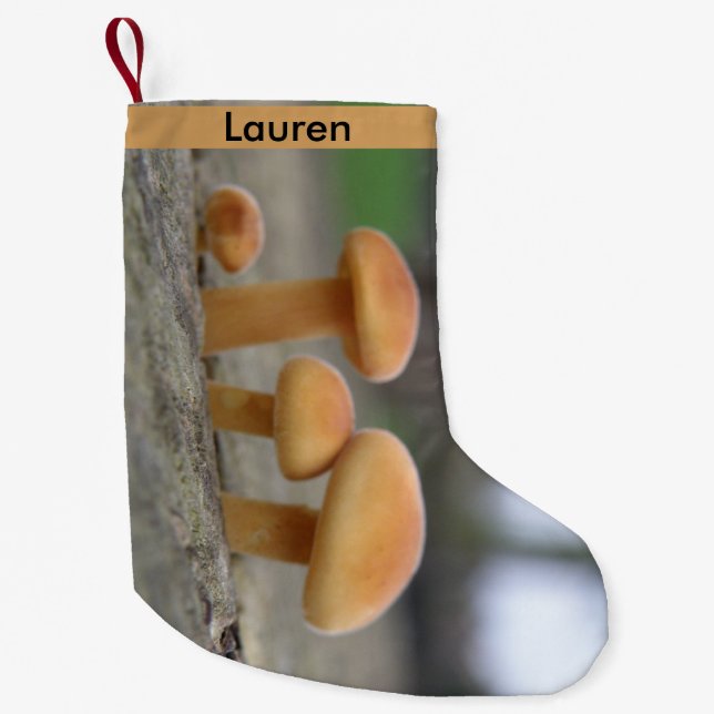 Tiny Toadstools Macro Custom Small Christmas Stocking (Front)
