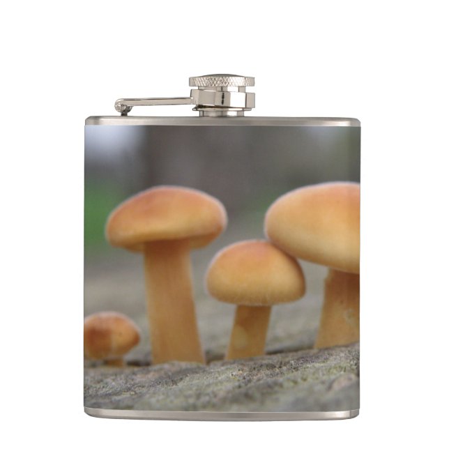 Tiny Toadstools macro Flask (Front)