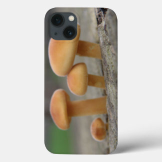 Tiny Toadstools Macro iPad Case