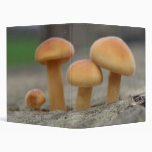 Tiny Toadstools Macro Photograph Album Binder