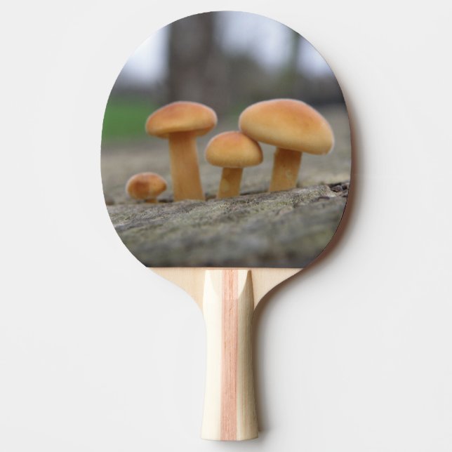 Tiny Toadstools Macro Ping Pong Paddle (Front)
