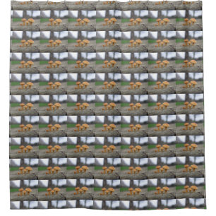 Tiny Toadstools Macro Shower Curtain