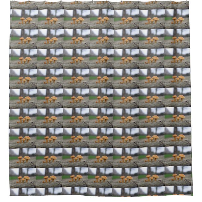 Tiny Toadstools Macro Shower Curtain (Front)
