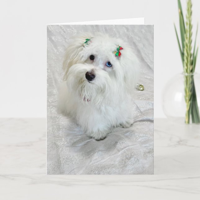 Tiny Treasure  Card (Front)