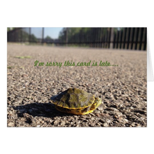 tiny turtle belated birthday card