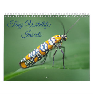 Tiny Wildlife: Insects Calendar