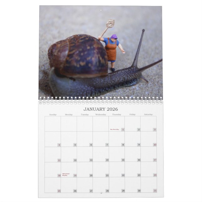 Tiny World Calendar (Jan 2026)