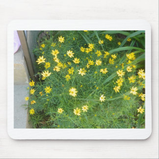 Tiny yellow flowers with greenery mouse pad