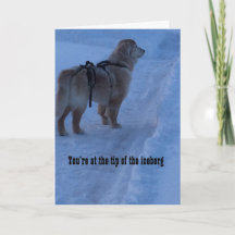 Tip Of The Iceberg, You've Got This - Card