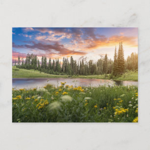 Tipsoo Lake of Mt.Rainier Postcard