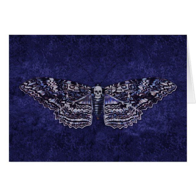 Tiré Moth (Devant Horizontal)