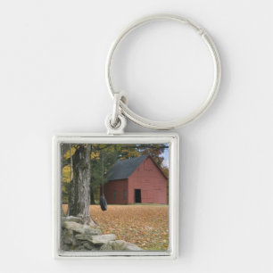 Tire swing along a road in Southern Vermont, Keychain