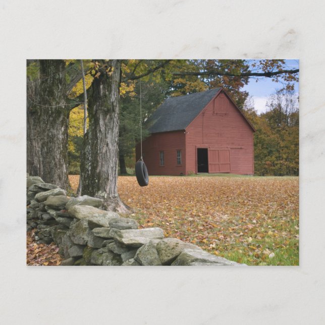 Tire swing along a road in Southern Vermont, Postcard (Front)