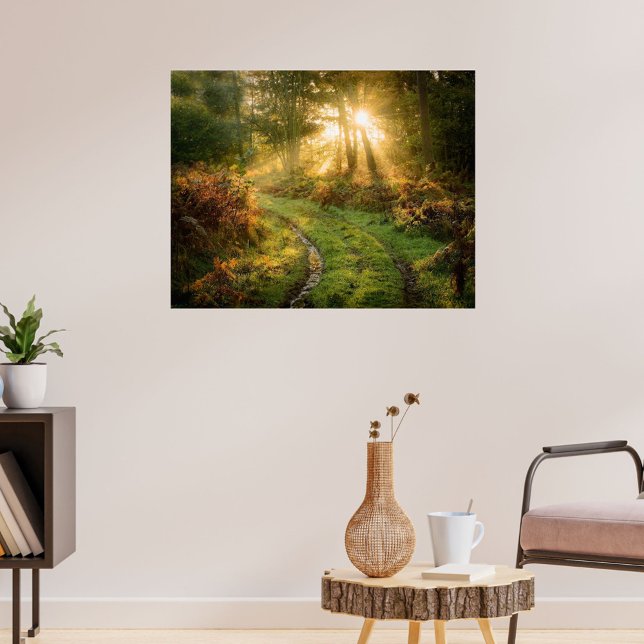 Tire Tracks in the Woods Poster Artwork Mural (Tracks in Forest)