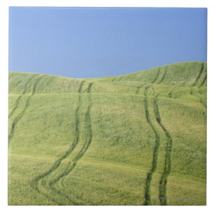 Tire Tracks in Wheat Field, Val d'Orcia, Siena Tile