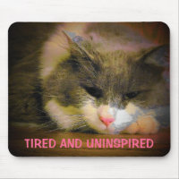 Tired and uninspired Sad Cat