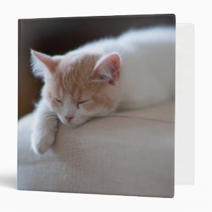 Tired Beige And White Kitten Binder
