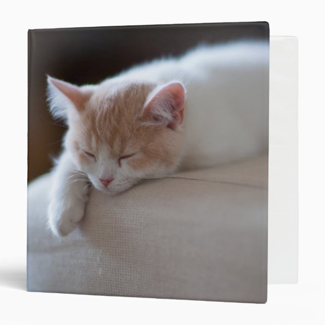 Tired Beige And White Kitten Binder (Front/Inside)