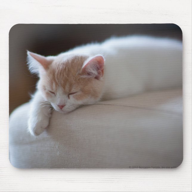 Tired Beige And White Kitten Mouse Pad (Front)