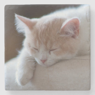 Tired Beige And White Kitten Stone Coaster