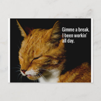 Tired Cat Design - "Gimme a break." Postcard