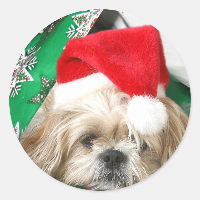 Tired Christmas Shih Tzu Classic Round Sticker (Front)