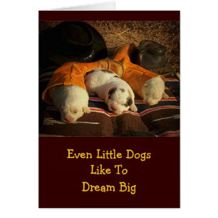 Tired Cowboy Puppies