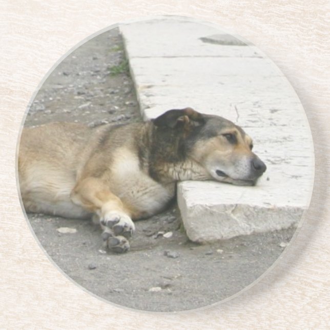 Tired Dog coaster, customizable Coaster (Front)