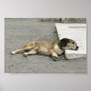 Tired Dog Custom poster