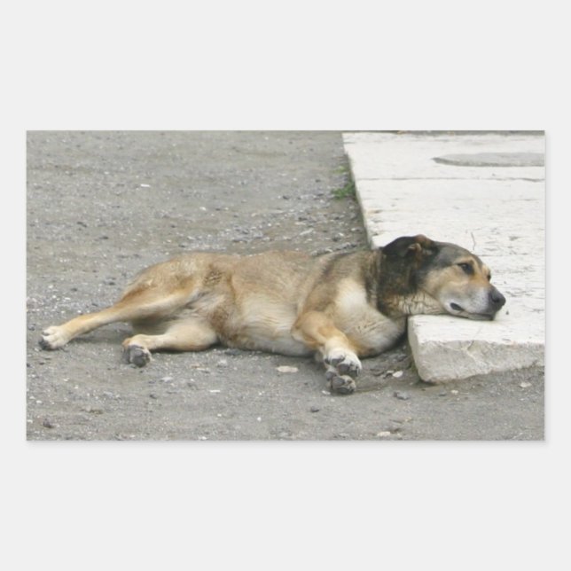 Tired Dog stickers, customize Sticker (Front)