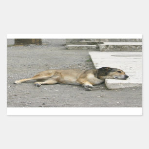 Tired Dog stickers, customize Sticker