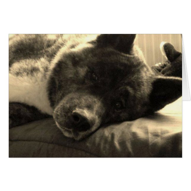 Tired Inca (Front Horizontal)