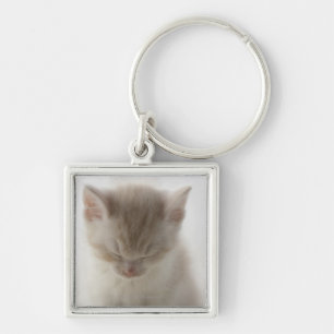 Tired Kitten Sleeping Keychain