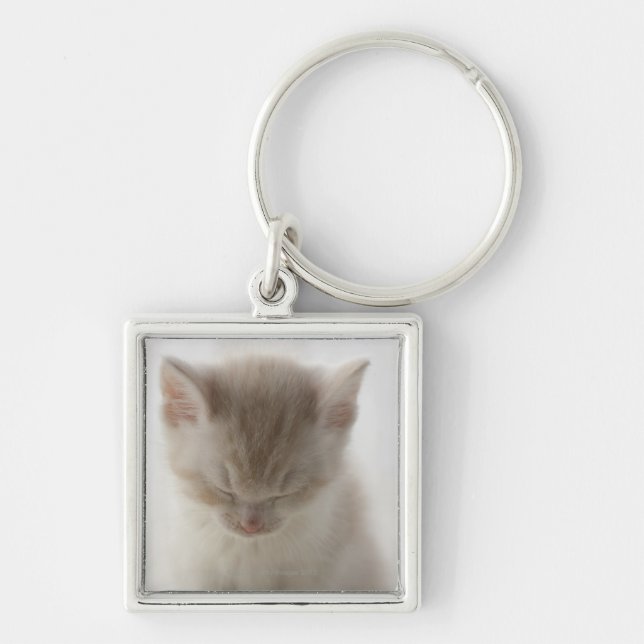 Tired Kitten Sleeping Keychain (Front)