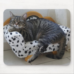 Tired kitty mouse pad