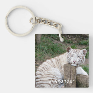 Tired Sleepy White Tiger Resting On Tree Logs Keychain