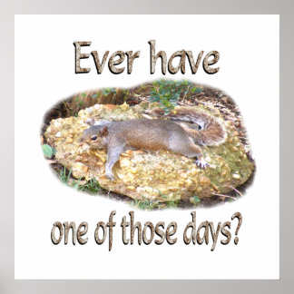 Tired Squirrel Poster