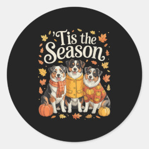 Tis The Season Australian Shepherd Fall Autumn Pum Classic Round Sticker