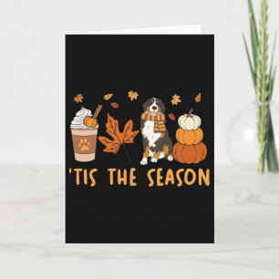 Tis The Season Bernese Mountain Dog Fall Pumpkin C Card