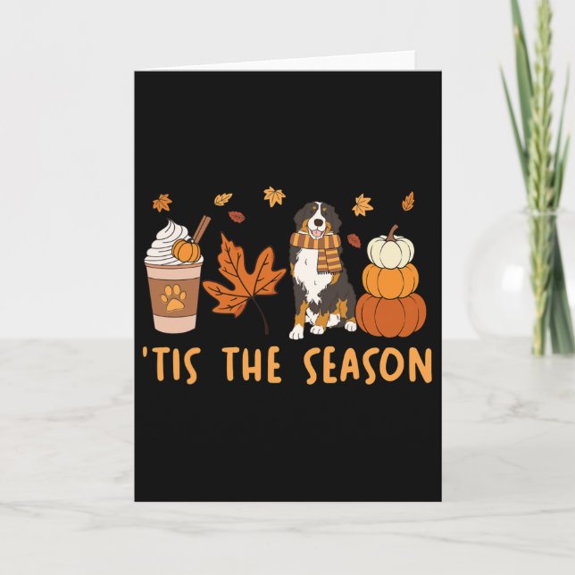 Tis The Season Bernese Mountain Dog Fall Pumpkin C Card (Front)