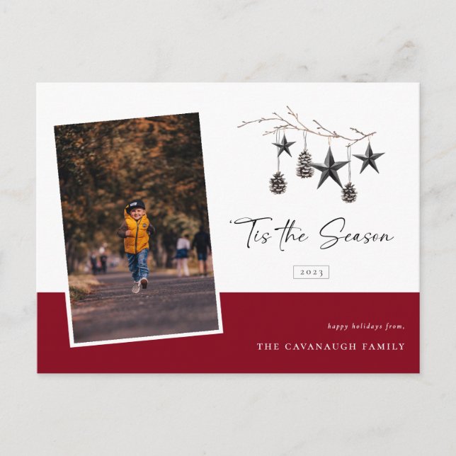 'Tis the Season Cozy Nature Photo Holiday Postcard (Front)