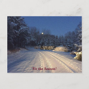 'Tis the Season Jean Watson Winter Holiday Postcard