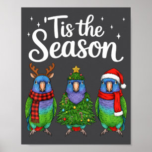 Tis The Season Onus Parrot Christmas Santa Bird  Poster